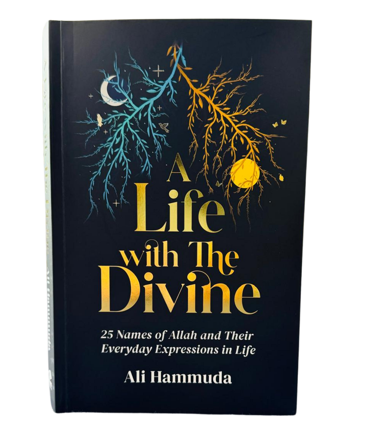 A Life with the Divine by Ali Hammdua