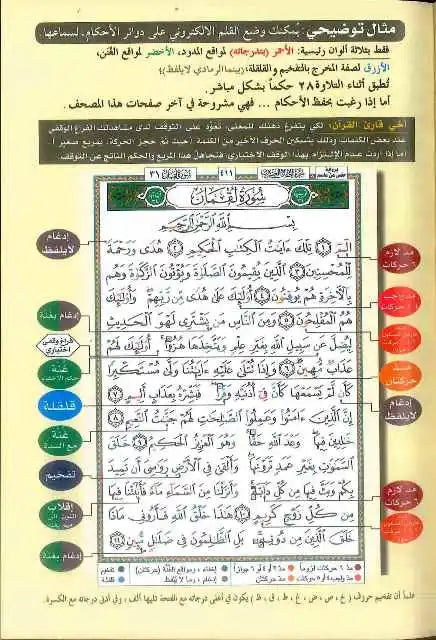 Tajweed Quran - Colour coded Arabic only Medium