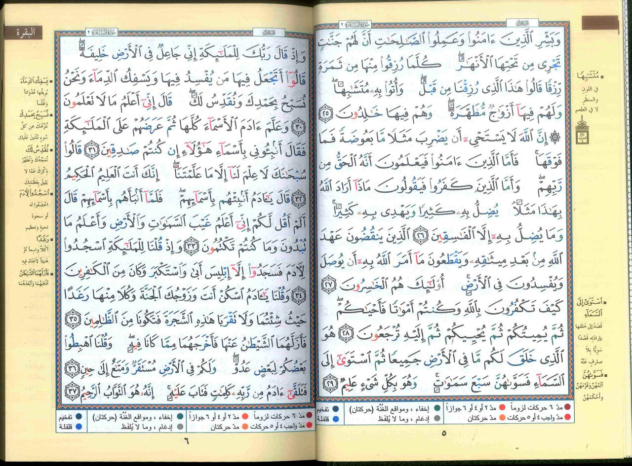 Tajweed Quran - Color coded Arabic only Large 17x24cm DM Delux