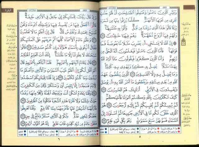 Tajweed Quran - Colour coded Arabic only Medium